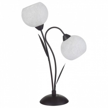Настольная лампа декоративная Lussole Bagheria LSF-6294-02