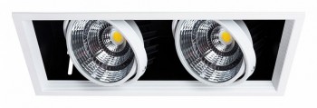 Встраиваемый светильник Arte Lamp Merga A8450PL-2WH